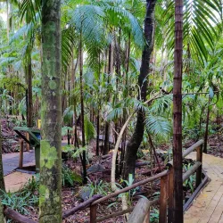 Boonah Botanic Gardens - Boonah