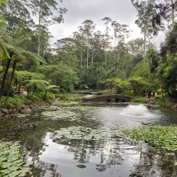 Boonah Botanic Gardens - Boonah