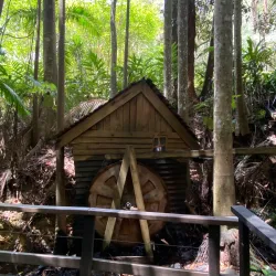 Boonah Botanic Gardens - Boonah