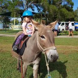Boonah Farmers Market - Boonah