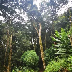 Fassifern Valley Lookout - Boonah