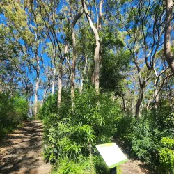 Fassifern Valley Lookout - Boonah