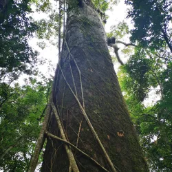 Fassifern Valley Lookout - Boonah
