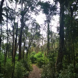 Fassifern Valley Lookout - Boonah