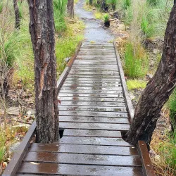 Mount French National Park - Boonah