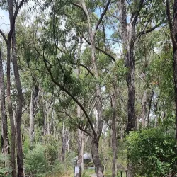 Mount French National Park - Boonah
