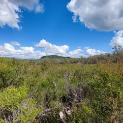 Mount French National Park - Boonah