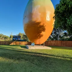 Big Mango - Bowen