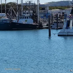 Bowen Harbour - Bowen