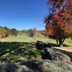 Bowral Golf Club - Bowral