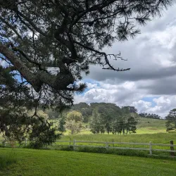 Bowral Lookout - Bowral