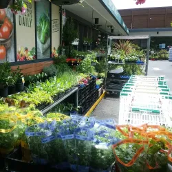 Bowral Market - Bowral