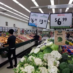 Bowral Market - Bowral