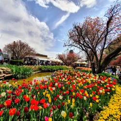 Corbett Gardens - Bowral