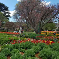 Corbett Gardens - Bowral