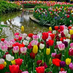 Corbett Gardens - Bowral