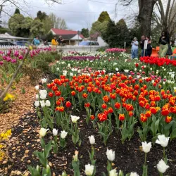 Corbett Gardens - Bowral