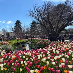 Corbett Gardens - Bowral