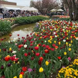 Corbett Gardens - Bowral