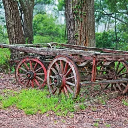 Mount Gibraltar Reserve - Bowral