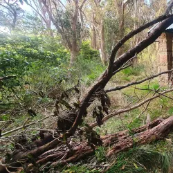 Mount Gibraltar Reserve - Bowral