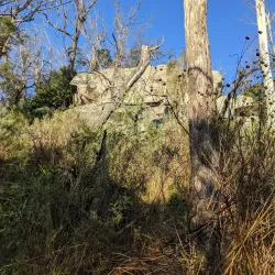 Mount Gibraltar Reserve - Bowral
