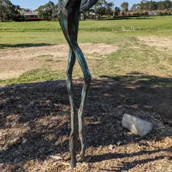 Southern Highlands Botanic Gardens - Bowral