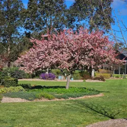 Southern Highlands Botanic Gardens - Bowral