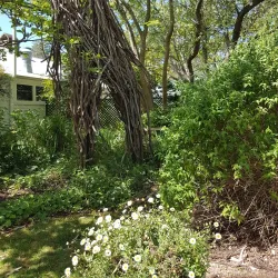 Sturt Gallery - Bowral