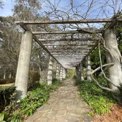 Sturt Gallery - Bowral