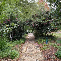 Sturt Gallery - Bowral