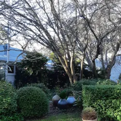 Sturt Gallery - Bowral