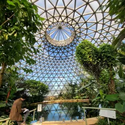 Brisbane Botanic Gardens Mount Coot-tha - Brisbane