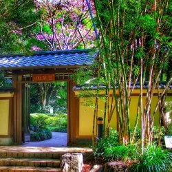 Brisbane Botanic Gardens Mount Coot-tha - Brisbane