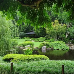 Brisbane Botanic Gardens Mount Coot-tha - Brisbane