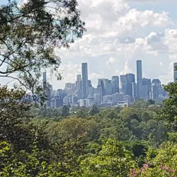 Brisbane Botanic Gardens Mount Coot-tha - Brisbane