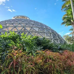 Brisbane Botanic Gardens Mount Coot-tha - Brisbane