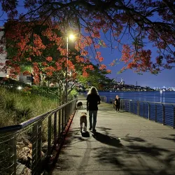 Brisbane Riverwalk - Brisbane