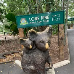 Lone Pine Koala Sanctuary - Brisbane