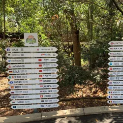 Lone Pine Koala Sanctuary - Brisbane