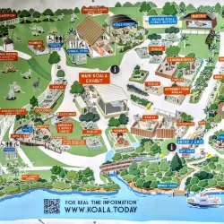 Lone Pine Koala Sanctuary - Brisbane