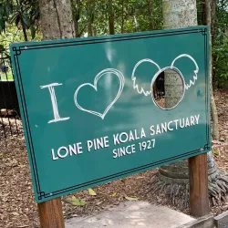 Lone Pine Koala Sanctuary - Brisbane