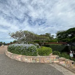 Mount Coot-tha Lookout - Brisbane