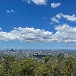 Mount Coot-tha Lookout - Brisbane