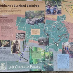 Mount Coot-tha Lookout - Brisbane