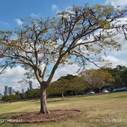 New Farm Park - Brisbane