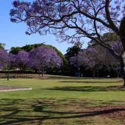 New Farm Park - Brisbane