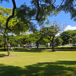 New Farm Park - Brisbane