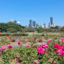 New Farm Park - Brisbane