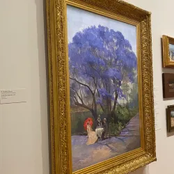 Queensland Art Gallery and Gallery of Modern Art (QAGOMA) - Brisbane